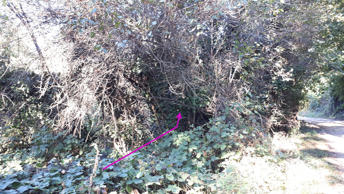 Canale Stura Oggi