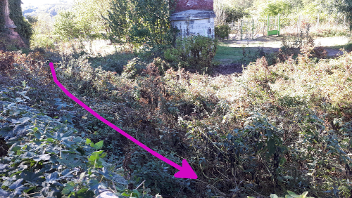 Canale Stura Oggi