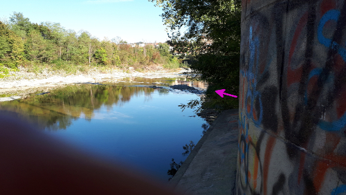 Canale Stura Oggi