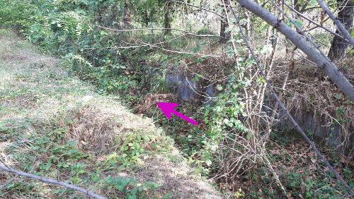 Canale Stura Oggi